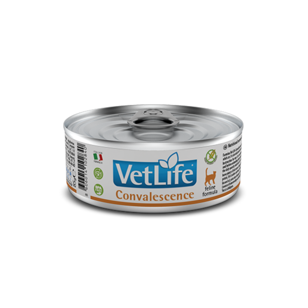 Farmina Vetlife Convalescence Wet Cat Food 85g